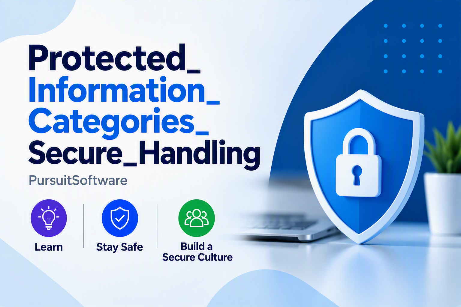 Protected_Information_Categories_Secure_Handling PICSH_001